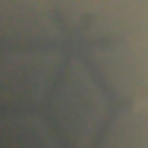 Meet your Posher, Nadia